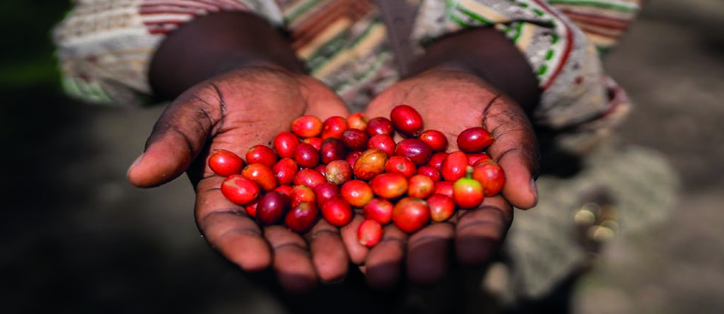 Photo of Kongo Rebuild Women´s Hope